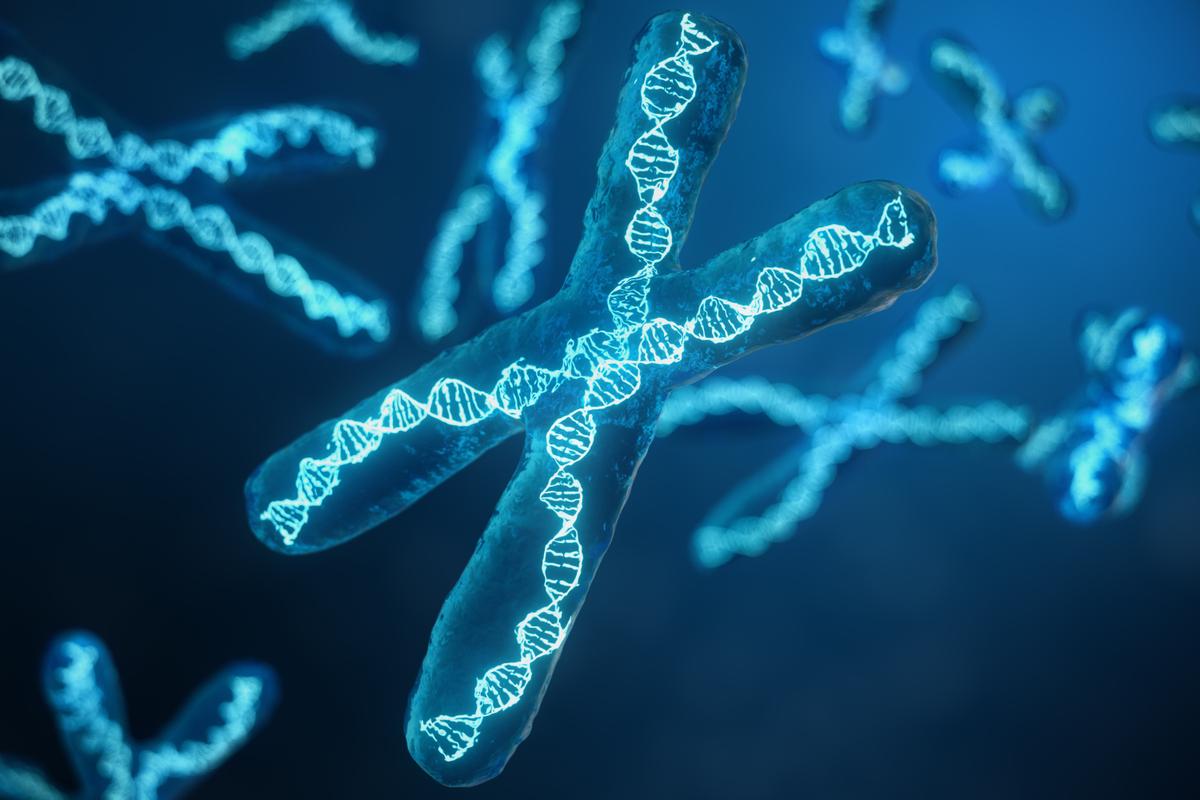 DNA en chromosomen