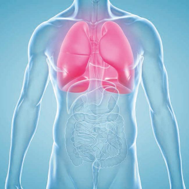 Het resultaat van het training- en revalidatieprogramma bij COPD is spectaculair.