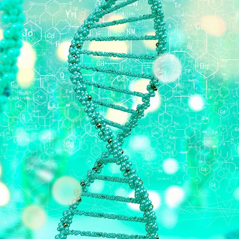 DNA