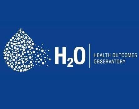 H2O project logo
