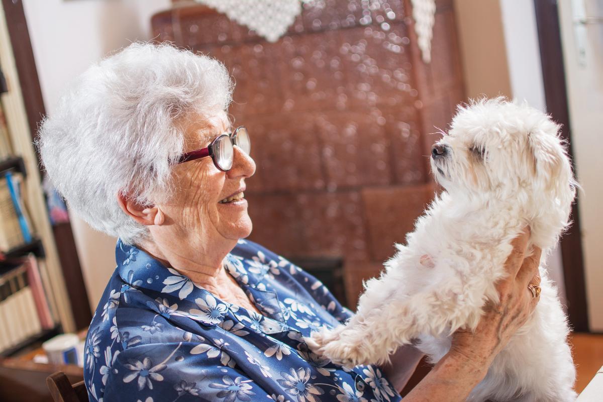 Dagelijkse leven tijdens orale kankertherapie - Huisdieren