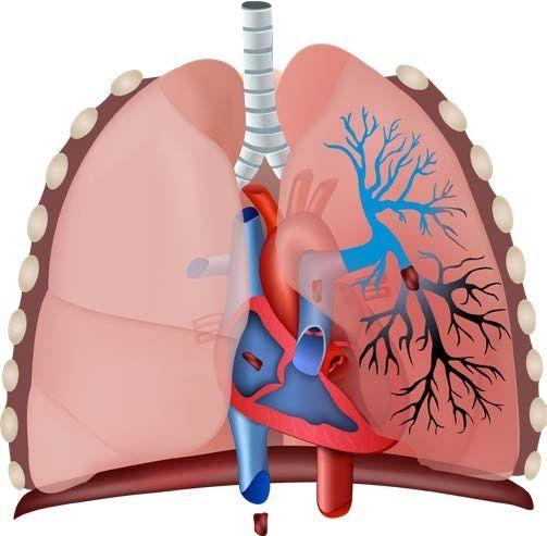 Symposium cardiac surgery