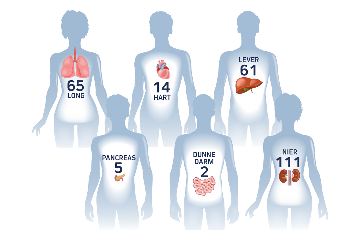 Jaarverslag 2020 - Transplantaties