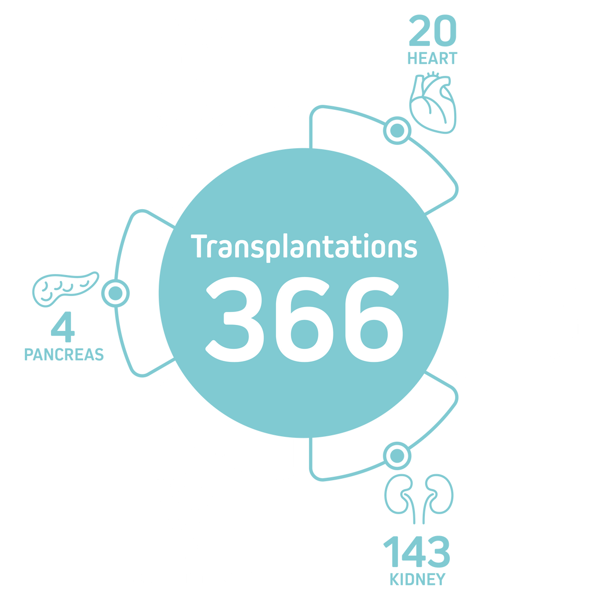 Annual report 2021 - Organ transplants