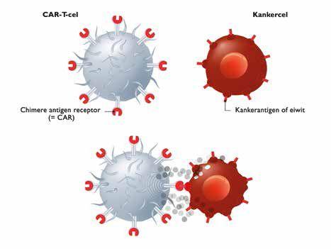 CAR-T-celtherapie