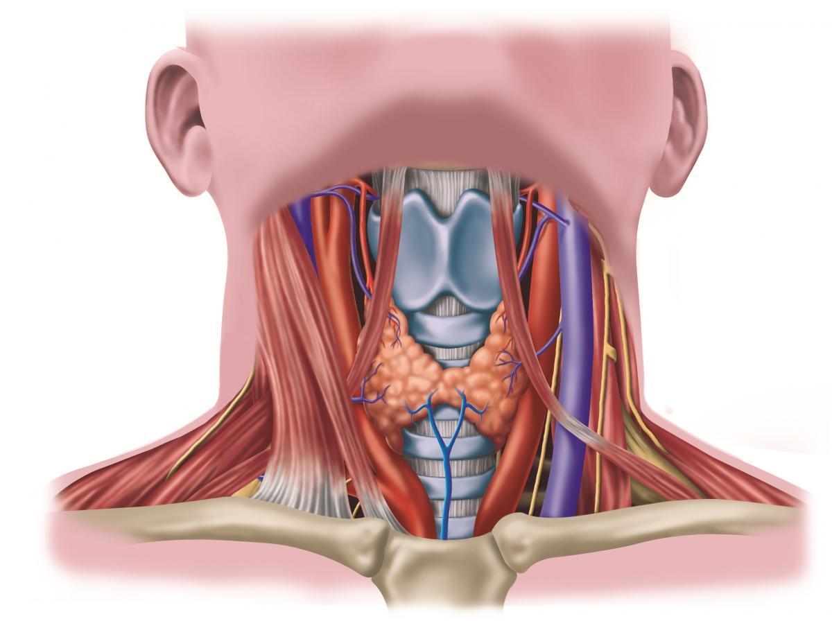 thyroidlobectomie