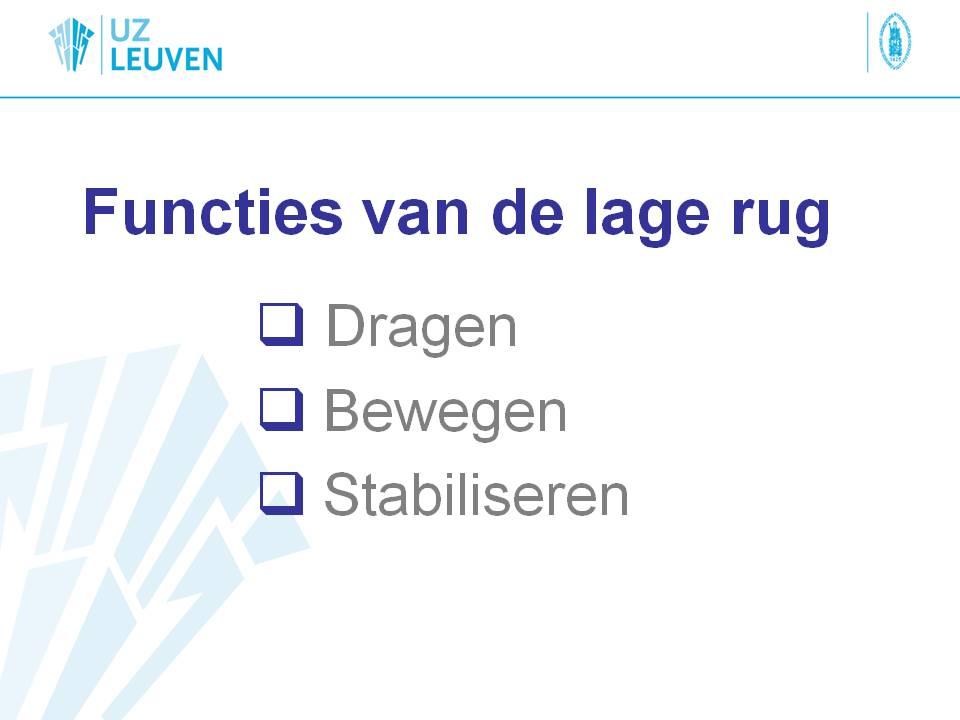 Functies lage rug