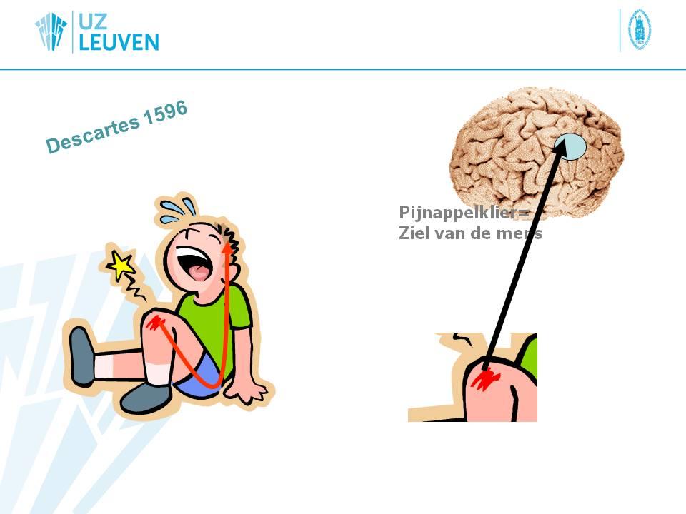 Pijn slide