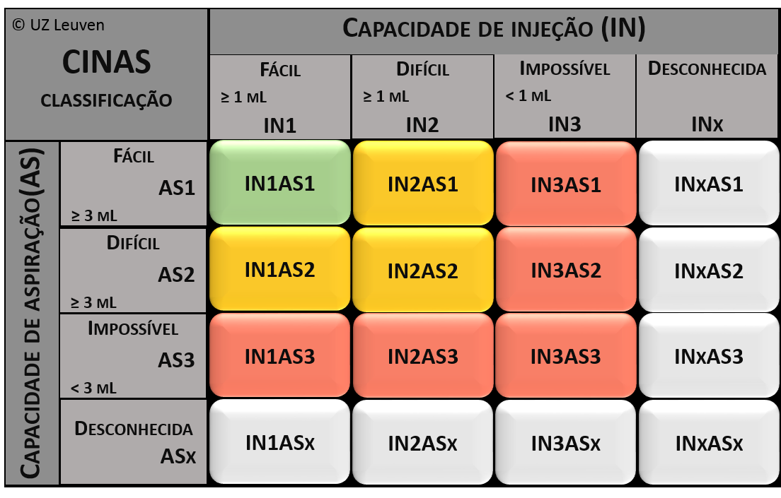 8 CINAS Portugese version
