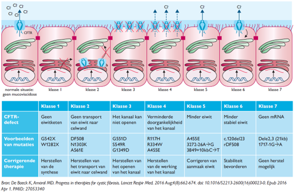 Mutatieklassen mucoviscidose