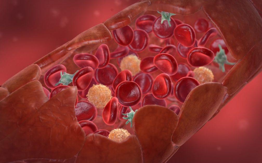 Biomerker­set als basis voor nieuwe bloed­test om darm­kanker op te